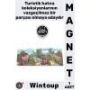 #Magnet Metal Dekoratif Mıknatıslı Buzdolabı Süsü Hediyelik Şık Hatıra Eşyası İstanbul Temalı Magnet