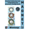 #Magnet Şık Dekoratif Hediyelik Hatıra Turistik Buzdolabı Süsü İstanbul Temalı Metal Magnet 3lü Set