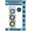 #Magnet Özel Dekoratif Turistik Mıknatıslı Buzdolabı Aksesuarı İstanbul Temalı Metal Magnet 3lü Set