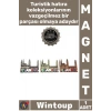 #Magnet Dekoratif Cami Tasarımlı Buzdolabı Süsü Hatıra Şık Hediyelik İstanbul Temalı Metal Magnet