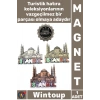 #Magnet Dekoratif Kaliteli Mıknatıslı Hediyelik Turistik Hatıra Eşyası İstanbul Temalı Metal Magnet