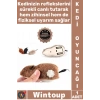 #KediOyuncağı Hareketli İnteraktif Refleks Zihinsel Uyarı Kurmalı Fare Şık Kedi Eğitim Oyuncağı