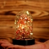 Led Işıklı Mini Ağaç Fanus Teraryum