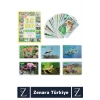 Okul Öncesi Koordinasyon Görsel Algı Geliştirici Hayvan İsimleri Öğretici Eğlenceli İLK 50 HAYVAN