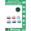 #Magnet Dekoratif Şık Hediyelik Mutfak Buzdolabı Ofis Aksesuar Kaliteli Canlı Plastik Gemi Magnet