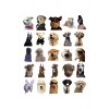 Sevimli Köpek Çıkartmaları Laptop Notebook Tablet Sticker Seti