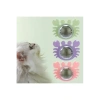 Yengeç Kedi Otu Oyun Topu