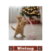 Yılbaşı Temalı Kedi Oyun Oltası