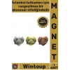 #Magnet İstanbul Turistik Hatıra Metal Dekoratif Obje Süsü Yöresel Sultanahmet Kalp Tasarımlı Magnet