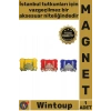 #Magnet Turistik Hediyelik İstanbul Hatırası Dekoratif Yöresel Sultanahmet Şık Kare Tasarımlı Magnet
