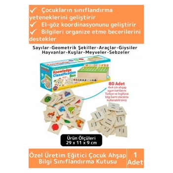 Premium Eğitici Zeka Koordinasyon Geliştirici Kişisel Gelişim Çocuk Ahşap Bilgi Sınıflandırma Kutusu