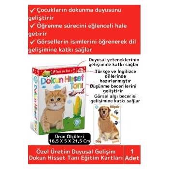 Premium Eğitici Duyusal Gelişim Görsel Algı Eğlenceli Öğrenme Çocuk Dokun Hisset Tanı Eğitim Kartlar