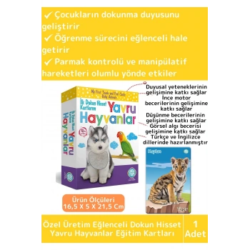 Premium Eğitici Çocuk Gelişimi Eğlenceli Öğrenme Dokun Hisset Tanı Yavru Hayvanlar Eğitim Kartları