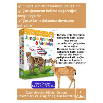 Premium Eğitici Görsel Algı Zeka Eğlenceli Öğrenme Orman Hayvanları Ve Araçlar Eğitim Kartları