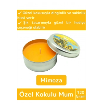 Premium Özel Metal Kutulu Arınma Huzur Meditasyon Yoga Esans Dekoratif Mum Oda Kokusu 120 Gram