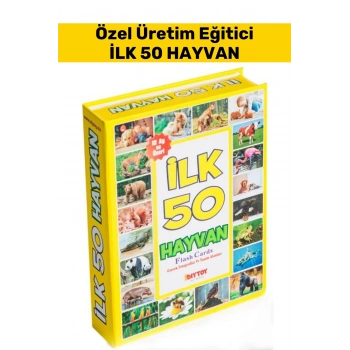 Özel Seri El Göz Koordinasyon Görsel Algı Geliştirici Hayvan İsimleri Öğretici İLK 50 HAYVAN