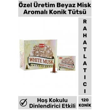 Rahatlatıcı Arındırıcı İyileştirici Ev Ofis Meditasyon Yoga Chakra Pozitif Enerji 120 Konik Tütsü