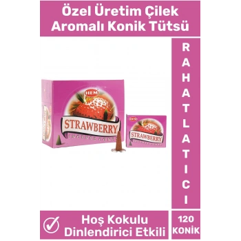Rahatlatıcı Arındırıcı İyileştirici Ev Ofis Meditasyon Yoga Chakra Pozitif Enerji 120 Konik Tütsü
