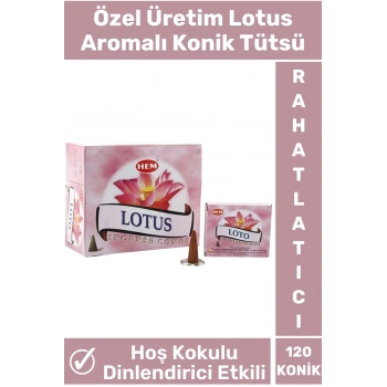 Rahatlatıcı Arındırıcı İyileştirici Ev Ofis Meditasyon Yoga Chakra Pozitif Enerji 120 Konik Tütsü