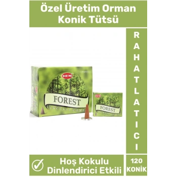 Rahatlatıcı Arındırıcı İyileştirici Ev Ofis Meditasyon Yoga Chakra Pozitif Enerji 120 Konik Tütsü