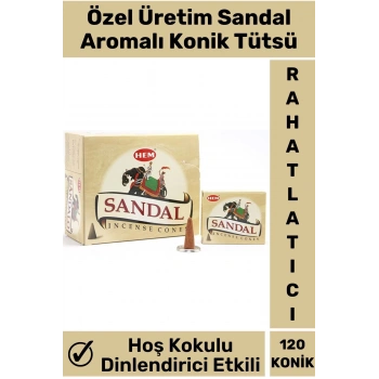 Rahatlatıcı Arındırıcı İyileştirici Ev Ofis Meditasyon Yoga Chakra Pozitif Enerji 120 Konik Tütsü