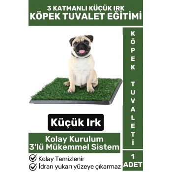 Pet Evcil Hayvan Köpek Eğitim 3 Katmanlı Sızdırmaz Kolay Temizlenir Küçük Irk Yavru Köpek Tuvaleti
