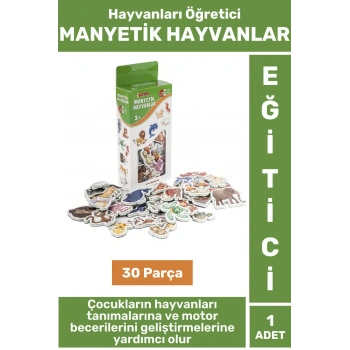 Premium Eğitici Görsel Algı El-Göz Koordinasyonu Hayvanların Öğrenimi 30 Parça MANYETİK HAYVANLAR