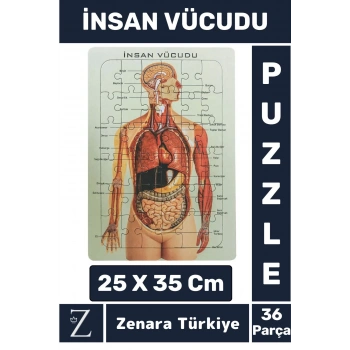 Premium Eğlenceli Eğitici Görsel Algı Motor Becerisi Geliştiren Çocuk PUZZLE 36 Parça İNSAN VÜCUDU