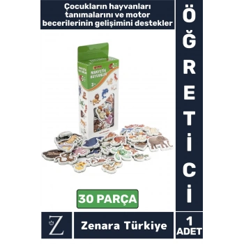 Çocuk Görsel Algı Koordinasyon Gelişimi Hayvanların Öğrenimi Eğitici Eğlenceli MANYETİK HAYVANLAR