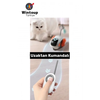 Evcil Hayvan Kedi Fiziksel Gelişm İlgi Çekici Eğlenceli Şarjlı Uzaktan Kumandalı Robot Kedi Oyuncağı