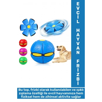Eğlenceli İnteraktif Fiziksel Zihinsel Gelişim Işıklı Zıplayan Frizbi Kedi Köpek Evcil Hayvan Topu