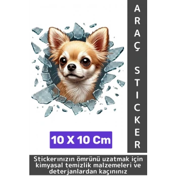 Özel Tasarım Araç Dış Modifiye Eğlenceli Yaratıcı Şık 3D Evcil Hayvan Kedi Köpek Sticker 10 X 10 Cm