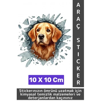 Özel Tasarım Araç Dış Modifiye Eğlenceli Yaratıcı Şık 3D Evcil Hayvan Kedi Köpek Sticker 10 X 10 Cm