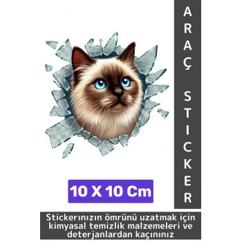 Özel Tasarım Araç Dış Modifiye Eğlenceli Yaratıcı Şık 3D Evcil Hayvan Kedi Köpek Sticker 10 X 10 Cm