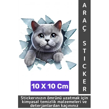 Özel Tasarım Araç Dış Modifiye Eğlenceli Yaratıcı Şık 3D Evcil Hayvan Kedi Köpek Sticker 10 X 10 Cm