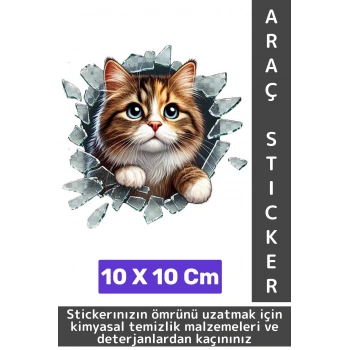 Özel Tasarım Araç Dış Modifiye Eğlenceli Yaratıcı Şık 3D Evcil Hayvan Kedi Köpek Sticker 10 X 10 Cm