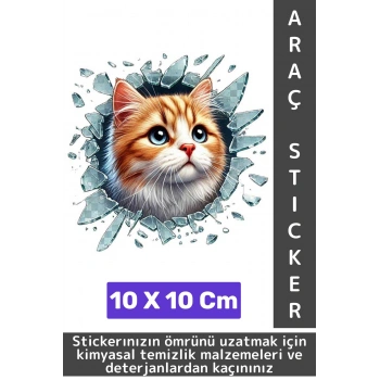 Özel Tasarım Araç Dış Modifiye Eğlenceli Yaratıcı Şık 3D Evcil Hayvan Kedi Köpek Sticker 10 X 10 Cm