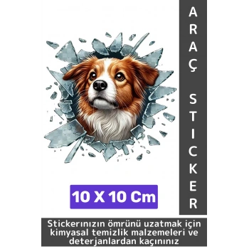 Özel Tasarım Araç Dış Modifiye Eğlenceli Yaratıcı Şık 3D Evcil Hayvan Kedi Köpek Sticker 10 X 10 Cm