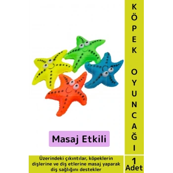 Evcil Hayvan Köpek Diş Temizliği Kaşıma Masaj Etkili İlgi Çekici Denizyıldızı Figür Çiğneme Oyuncağı