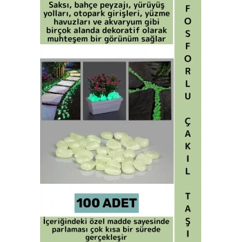 Gece Parlayan Saksı Bahçe Yürüyüş Yolu Otopark Havuz Akvaryum Çok Şık Fosforlu Çakıl Taşı 100 Adet