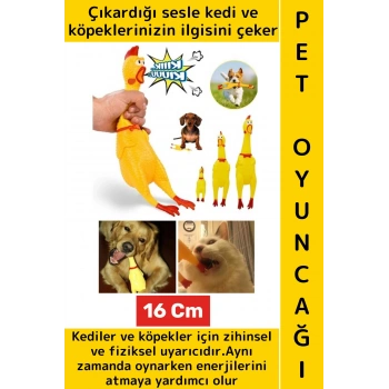 Evcil Hayvan İlgi Çekici Enerji Atma Fiziksel Aktivite Ses Çıkaran Tavuk Kedi Köpek Oyuncağı 16 Cm