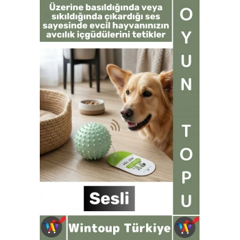 #Pet Evcil Hayvan Küçük Irk Köpek Avcılık İçgüdüsü Masaj Diş Kaşıma Sesli Dikenli Kedi Oyuncağı Topu