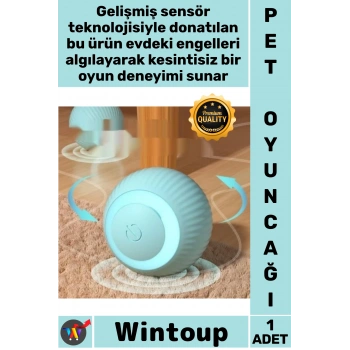 #Oyuncak Şarjlı Hareket Sensörlü Titreşim Işıklı Otomatik Kedi Akıllı İnteraktif Pet Hayvan Oyuncağı