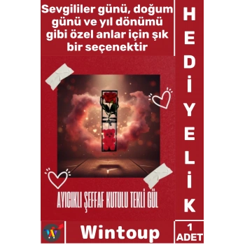 Ayıcıklı Şeffaf Kutulu Tekli Gül