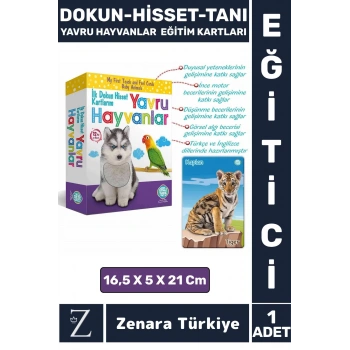 Çocuk Eğitici Görsel Algı Koordinasyon Eğlenceli DOKUN-HİSSET-TANI Eğitim Kartları YAVRU HAYVANLAR