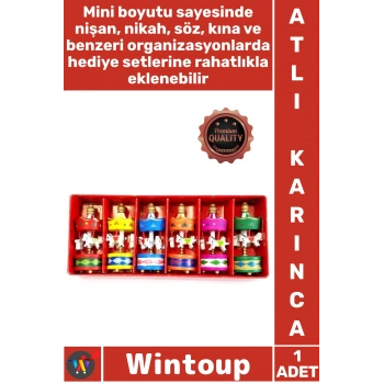 Dekoratif 6lı Renkli Mini Atlı Karınca