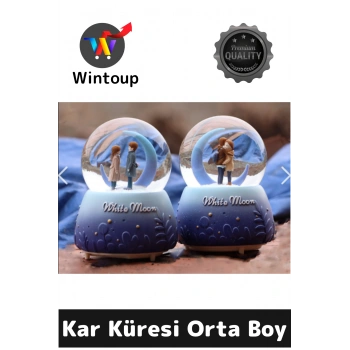 Kar Küresi Orta Boy WY20K08
