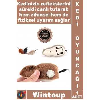 #KediOyuncağı Hareketli İnteraktif Refleks Zihinsel Uyarı Kurmalı Fare Şık Kedi Eğitim Oyuncağı
