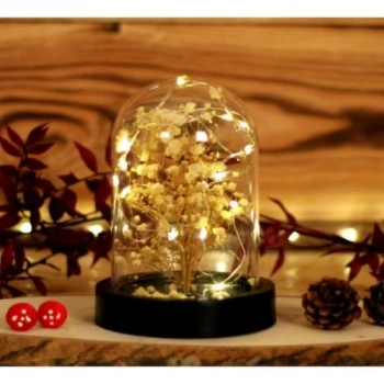 Led Işıklı Mini Ağaç Fanus Teraryum 2