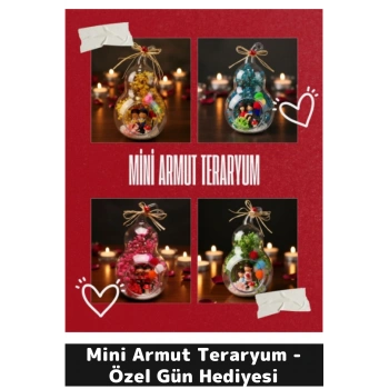 Mini Armut Teraryum - Özel Gün Hediyesi